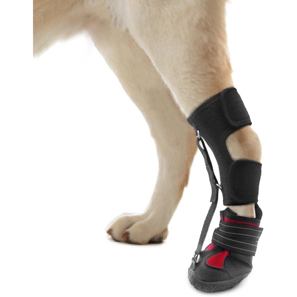 XS Dog Drop Foot Brace - No-Knuckling Boot Corrective Shoe for Arthritis & IVDD